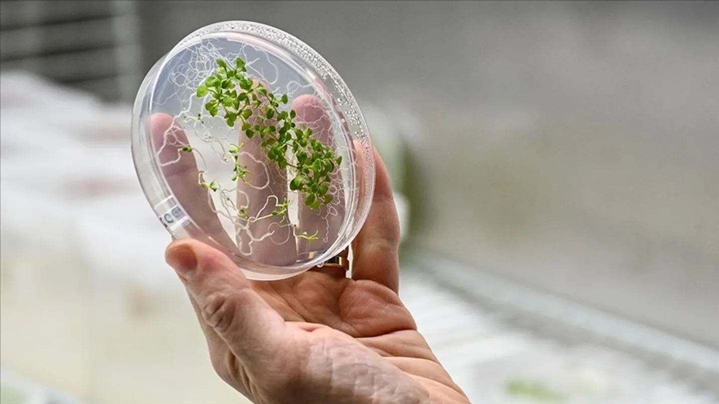 په سپوږمۍ او حتا په مریخ کې کرنه ممکن ده